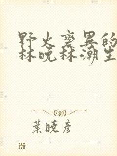野火变异的父爱林晚林潮生
