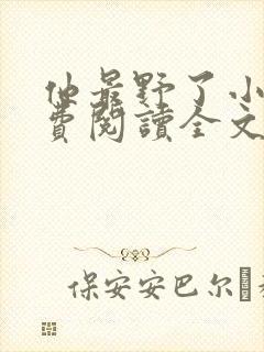 他最野了小说免费阅读全文