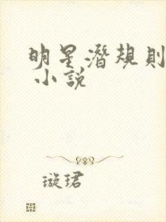 明星潜规则之皇 小说