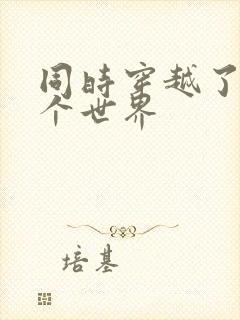 同时穿越了99个世界