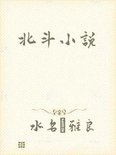 北斗小说