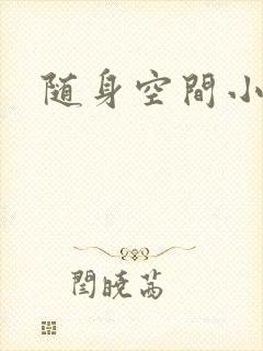 随身空间小说
