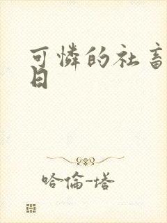 可怜的社畜东度日