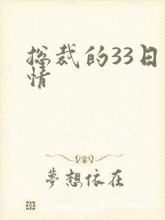 总裁的33日索情