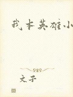 我本英雄小说