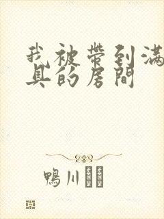 我被带到满是玩具的房间