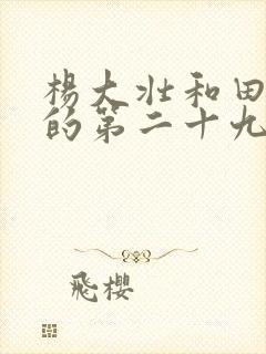 杨大壮和田桂花的第二十九