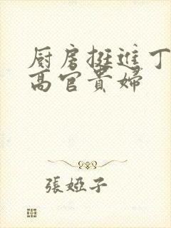 厨房挺进丁字裤高官贵妇