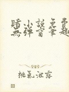 赌小说免费阅读无弹窗笔趣阁