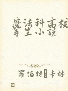 魔法科高校的劣等生小说