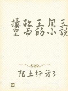 摄政王用玉髓整皇帝的小说