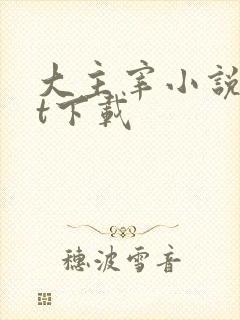 大主宰小说txt下载