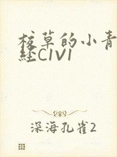 校草的小青梅不经C1V1