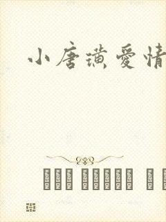 小唐璜爱情历史