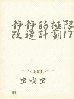 静静的极限自我改造计划17