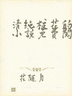 清纯校花的秘密小说免费阅读