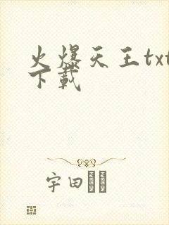 火爆天王txt下载