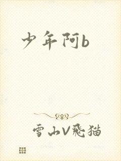 少年阿b