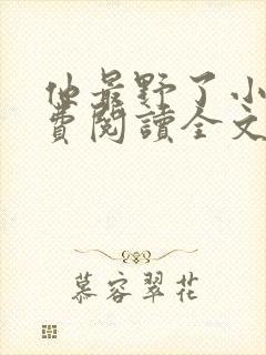 他最野了小说免费阅读全文