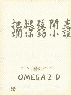 把腿张开老子臊烂你的小说