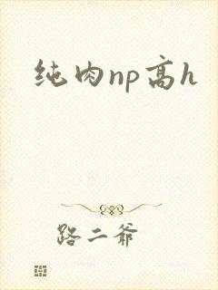 纯肉np高h