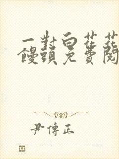 一对白花花的大馒头免费阅读