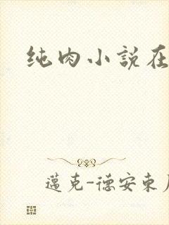 纯肉小说在线
