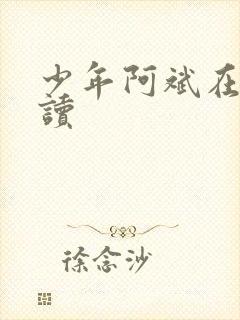 少年阿斌在线阅读