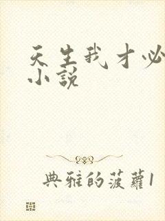 天生我才必有用小说