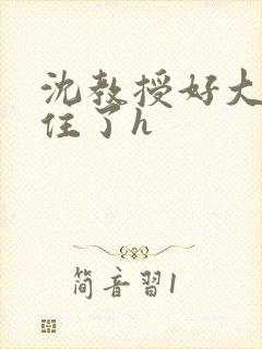 沈教授好大含不住了h