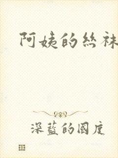 阿姨的丝袜小说