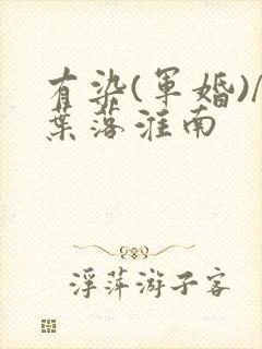 有染(军婚)/叶落淮南