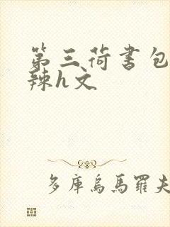 第三荷书包网高辣h文