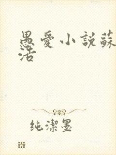 愚爱小说苏倩孙浩