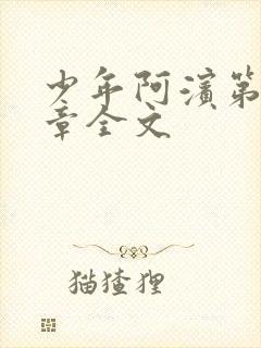 少年阿滨第13章全文