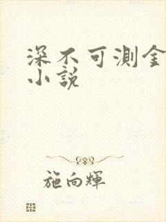 深不可测金银花小说