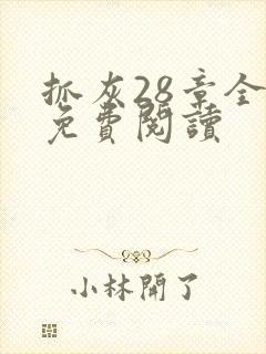 抓灰28章全部免费阅读