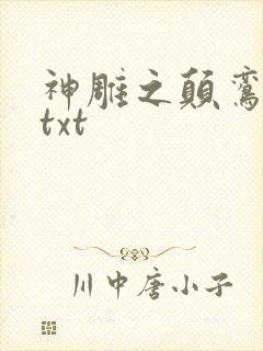 神雕之颠鸾倒凤txt