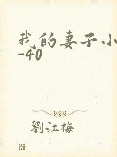我的妻子小谨1-40