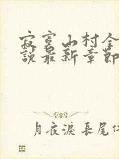 寂寞山村全部小说最新章节