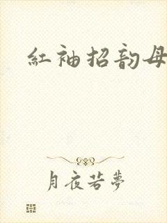 红袖招韵母攻略