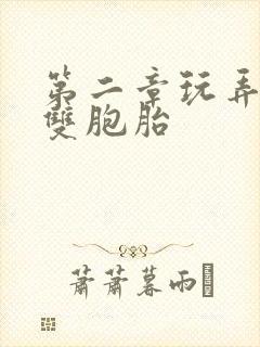 第二章玩弄少妇双胞胎