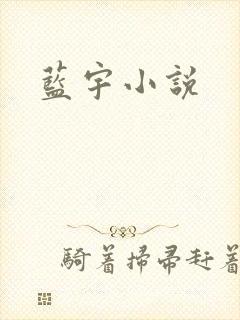 蓝宇小说