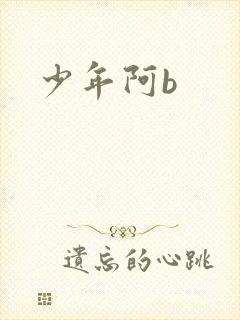 少年阿b