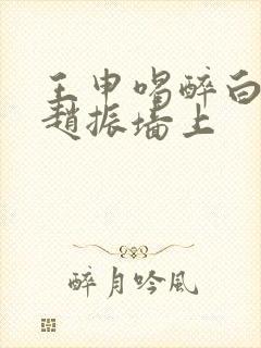 王申喝醉白洁被赵振墙上