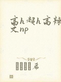 高h超h高辣h文np