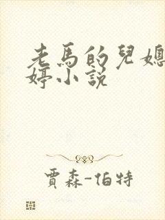 老马的儿媳顾婉婷小说