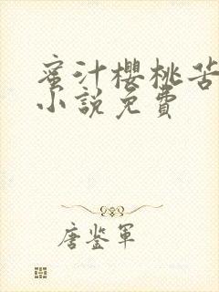 蜜汁樱桃苦咖啡小说免费