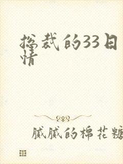 总裁的33日索情
