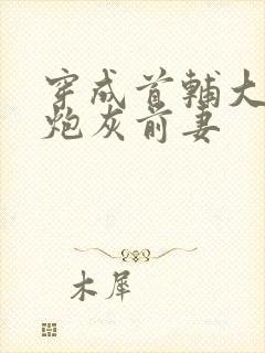 穿成首辅大人的炮灰前妻